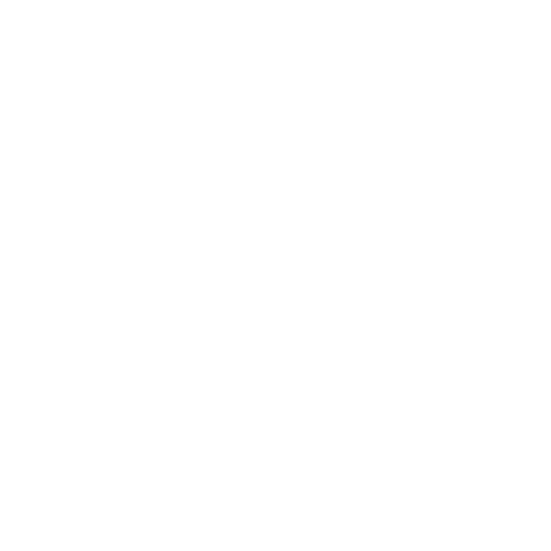 LARGE SCALE STUDIO